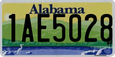 AL license plate 1AE5028