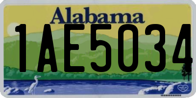 AL license plate 1AE5034