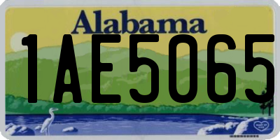 AL license plate 1AE5065