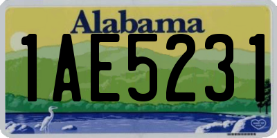 AL license plate 1AE5231