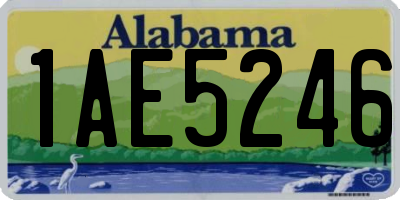 AL license plate 1AE5246