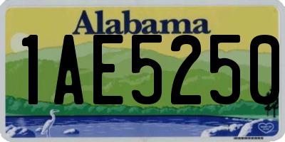 AL license plate 1AE5250