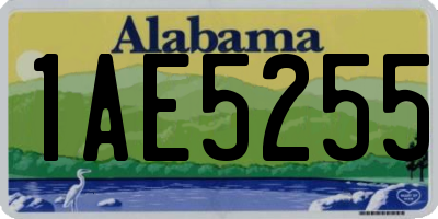 AL license plate 1AE5255