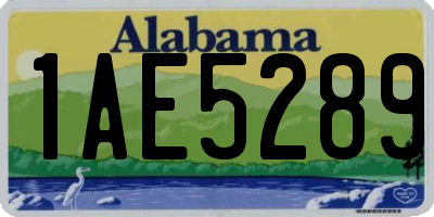 AL license plate 1AE5289