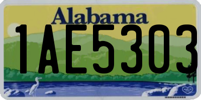 AL license plate 1AE5303