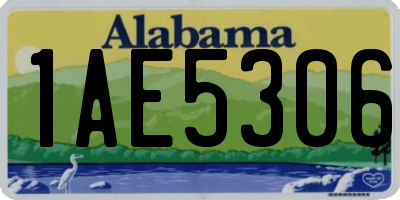 AL license plate 1AE5306