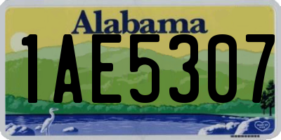 AL license plate 1AE5307