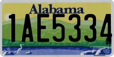 AL license plate 1AE5334