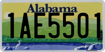 AL license plate 1AE5501