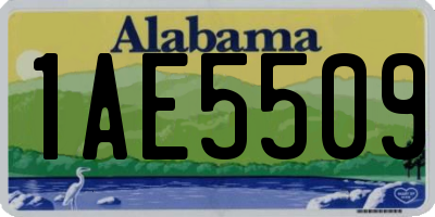 AL license plate 1AE5509