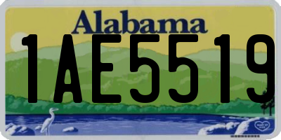 AL license plate 1AE5519