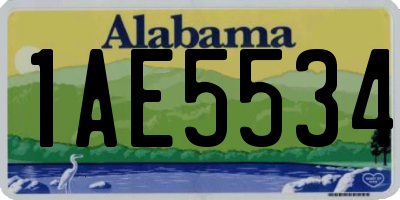 AL license plate 1AE5534
