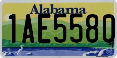 AL license plate 1AE5580