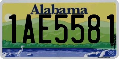 AL license plate 1AE5581