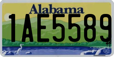 AL license plate 1AE5589