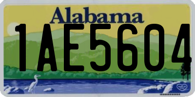 AL license plate 1AE5604