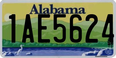 AL license plate 1AE5624