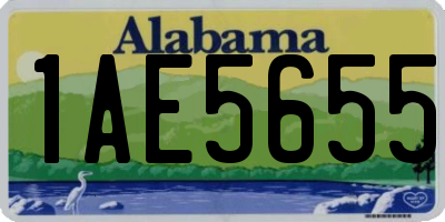 AL license plate 1AE5655