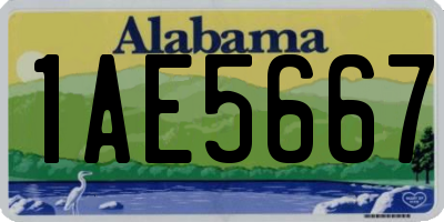 AL license plate 1AE5667
