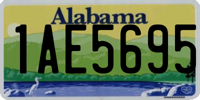 AL license plate 1AE5695
