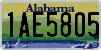 AL license plate 1AE5805