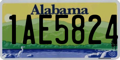 AL license plate 1AE5824