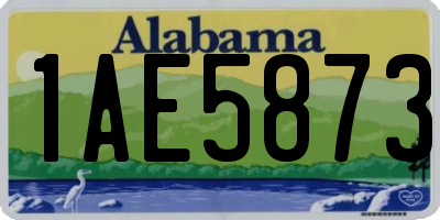 AL license plate 1AE5873