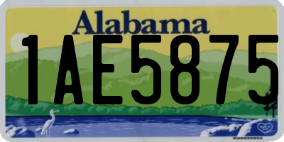 AL license plate 1AE5875