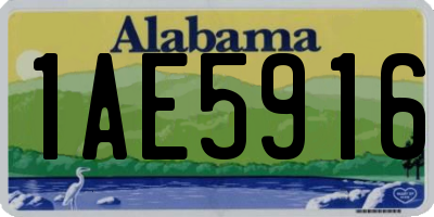 AL license plate 1AE5916