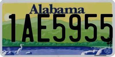 AL license plate 1AE5955