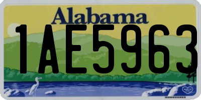 AL license plate 1AE5963
