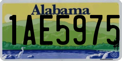 AL license plate 1AE5975