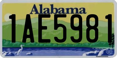 AL license plate 1AE5981