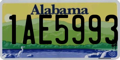 AL license plate 1AE5993