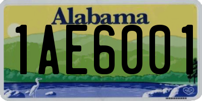 AL license plate 1AE6001