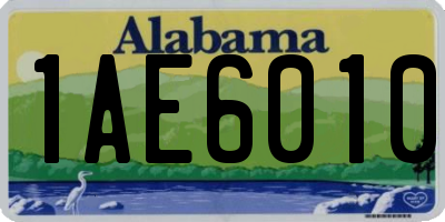 AL license plate 1AE6010
