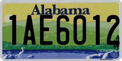 AL license plate 1AE6012