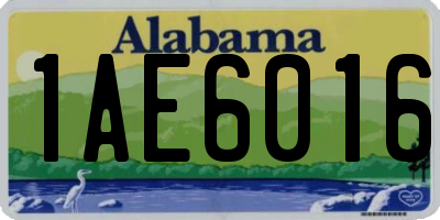 AL license plate 1AE6016