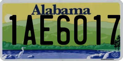 AL license plate 1AE6017