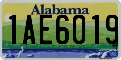 AL license plate 1AE6019
