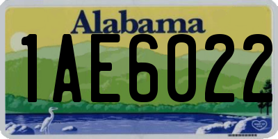 AL license plate 1AE6022