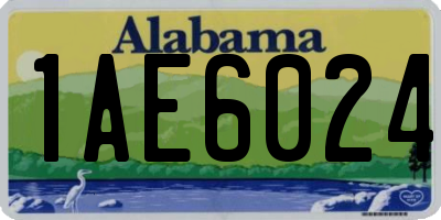 AL license plate 1AE6024