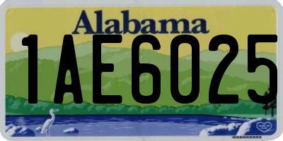 AL license plate 1AE6025