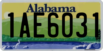 AL license plate 1AE6031