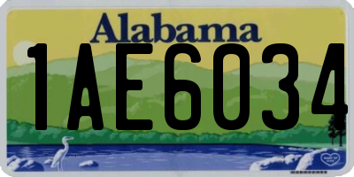 AL license plate 1AE6034