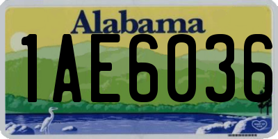 AL license plate 1AE6036