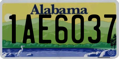 AL license plate 1AE6037