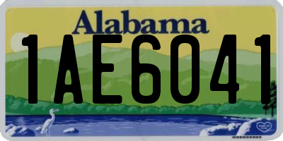 AL license plate 1AE6041