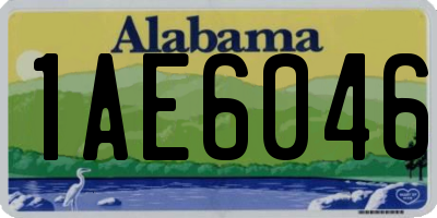 AL license plate 1AE6046