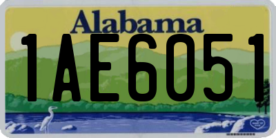 AL license plate 1AE6051